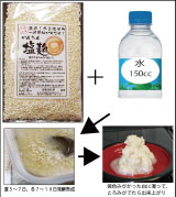 米麹に水と食塩を加えるだけで簡単に塩麹は出来ます。